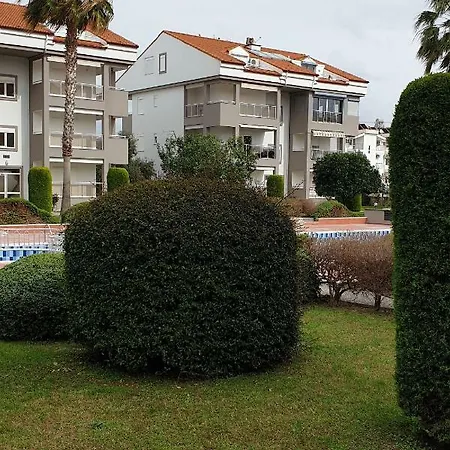 Citrus Garden