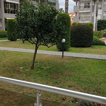 アパート Citrus Garden